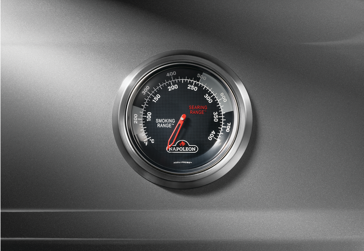 Napoleon Grills Freestyle 425 SB Gas Grill